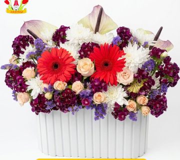 باکس گل آماده گل رز و داوودی کد A011 گل فرحناز