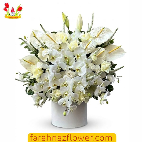 جام گل خواستگاری و افتتاحیه کد K006 گل فرحناز