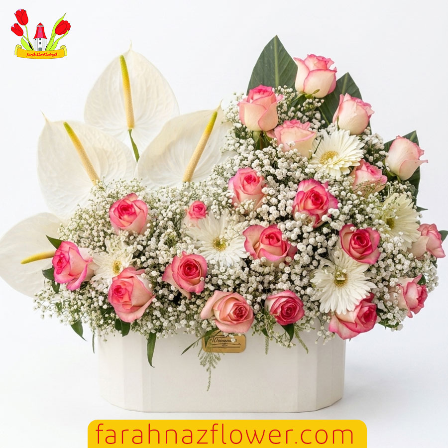 خرید آنلاین باکس گل خواستگاری رز و عروس و آنتوریوم در مشهد کد K019 گل فرحناز خرید آنلاین باکس گل خواستگاری رز و عروس و آنتوریوم در مشهد کد K019 | گل فرحناز